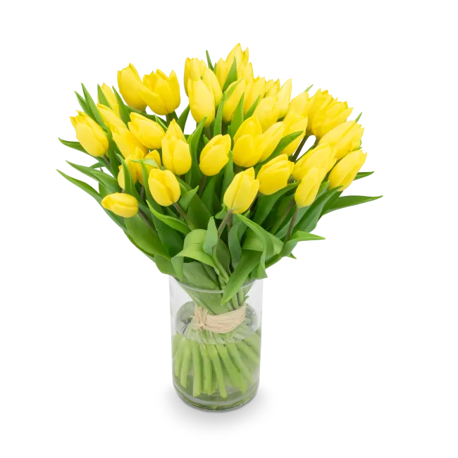 Bouquet of tulips